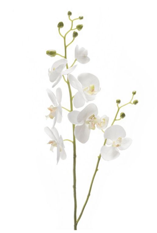 Phalaenopsis orchidee kunstbloemen