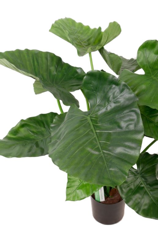 Plastikpflanze mit großen Blättern