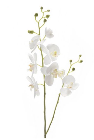 Phalaenopsis orchidee kunstbloemen