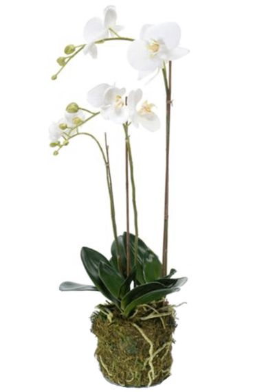 Phalaenopsis orchidee kunstplant